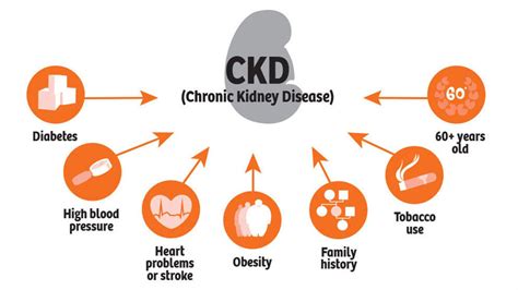 Chronic Kidney Disease (CKD) | 99 Health Ideas