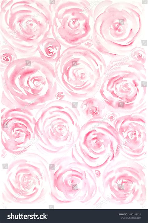 Watercolor Light Pink Roses Background Stock Illustration 1480148120 ...