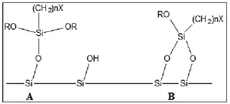 Different forms of the distribution of the silanols groups on the ...