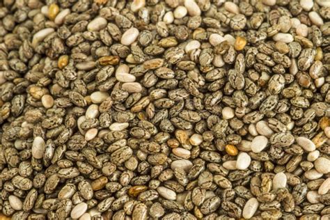 Chia Seeds, Salvia Hispanica Stock Image - Image of loss, ancient: 33985241