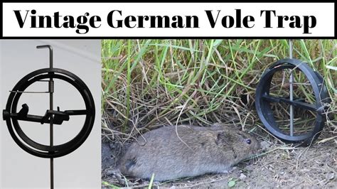 Vintage German Vole Trap. The Theysohn Vole Trap - YouTube