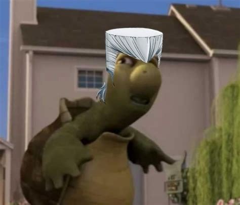 Turtle Polnareff feel free to use it : r/animememes