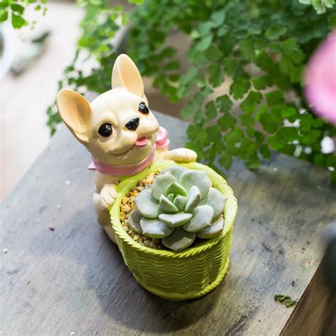 Cute Small Decorative French Dog Resin Cactus Succulent Flower Pot ...