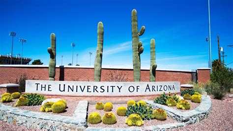 University of Arizona employees concerned about return to campus ...