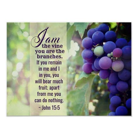 John 15:5 I Am the Vine You are the Branches Bible Poster | Zazzle ...