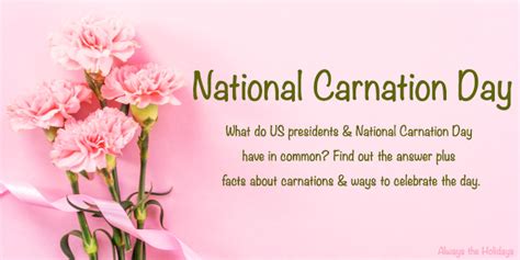 National Carnation Day - Facts About Carnations and History of the Day