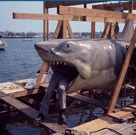 Rare photo of the original Bruce. | Shark, Jaws film, Classic films