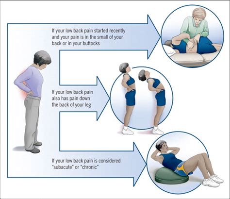 Low Back Pain: How Does Your Physical Therapist Treat Low Back Pain ...