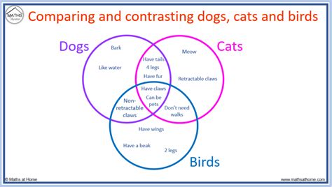 Venn Diagram 3 Circles