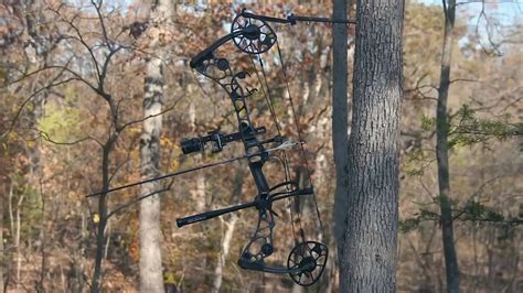 9 Best Compound Bows For The Money In 2023