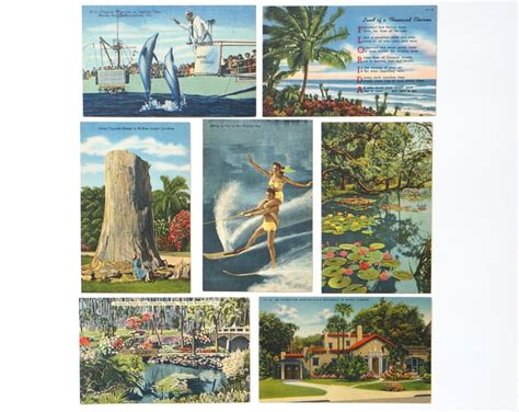 Florida Postcard LOT OF 7 Vintage Post Cards from the Beach | Etsy ...