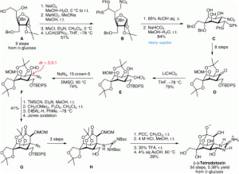 Tetrodotoxin - Mechanism, Structure, Medical Use and Poisoning Effects