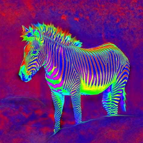 Neon Zebra Painting by Jane Schnetlage