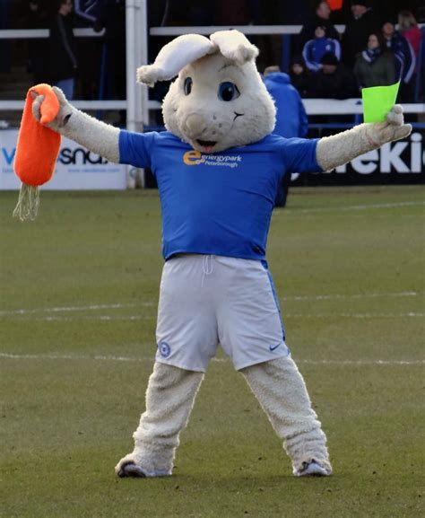 Peterborough Utd mascot Peter Burrow - creative commons licence Jon ...