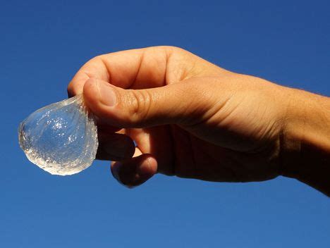 Edible water bottle uses algae to create biodegradable alternative ...