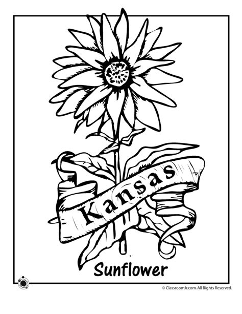 Kansas State Flower Coloring Page | Woo! Jr. Kids Activities : Children ...