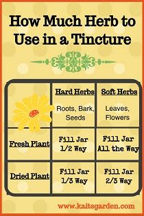 How to Make an Herbal Tincture: 2 Easy Methods ~ Kaits Garden