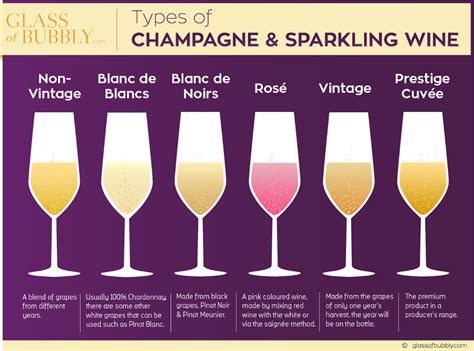 Free Champagne & Sparkling Wine Infographics - Glass Of Bubbly