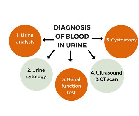 Blood In Urine - 3 Reasons Why It Could Happen - Sitaram Bhartia Blog