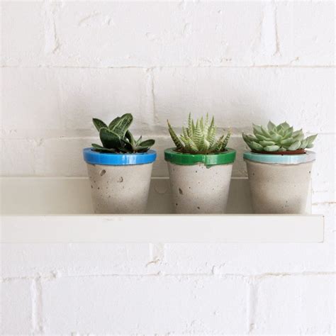 6 of the best desk plants to brighten up your workspace