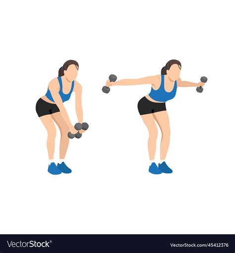 Woman doing dumbbell bent over reverse flyes Vector Image