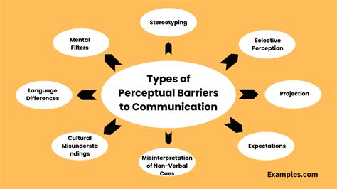 Perceptual Barriers to Communication - 19+ Examples, How to Overcome