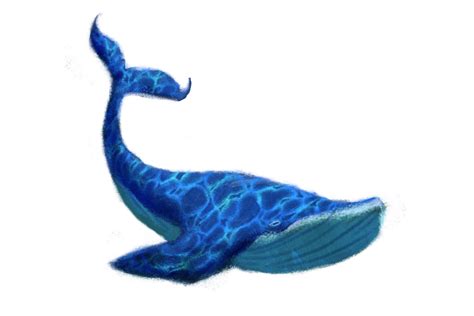 Blue Whale Transparent Image Transparent HQ PNG Download | FreePNGimg