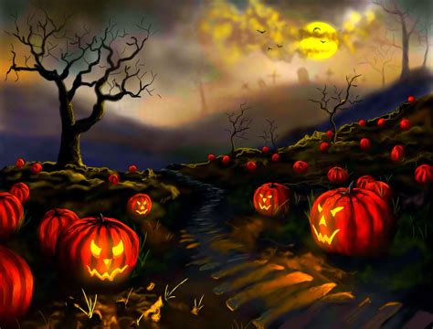 Pumpkin Patch wallpaper | nature and landscape | Wallpaper Better