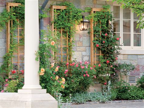 How to Make a Great Garden Trellis or Arbor - Sunset Magazine