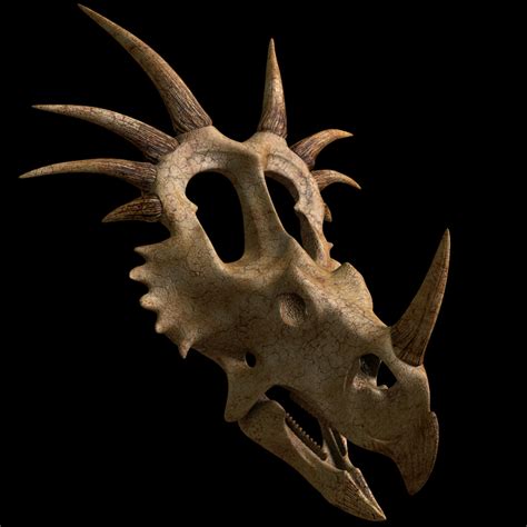 Styracosaurus skull model - TurboSquid 1337450