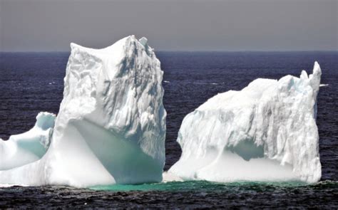 Elfshot: Newfoundland Icebergs off Cape Spear