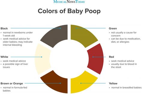 poop stool color changes color chart and meaning healthy concept stock ...