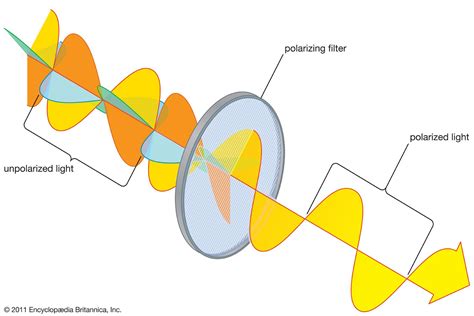 Polarization | Definition & Types | Britannica