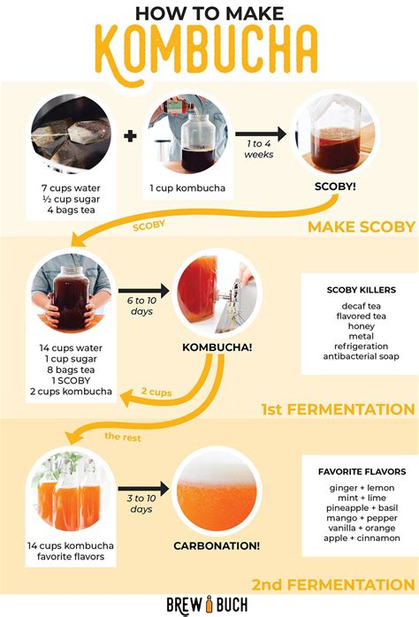 How to Make Kombucha (A Beginners Guide!) | Brew Buch