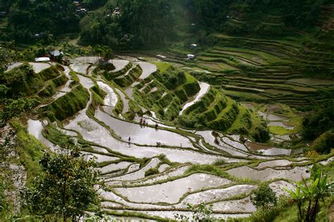 Banaue Rice Terraces Pictures, Photos & Facts - Ifugao,