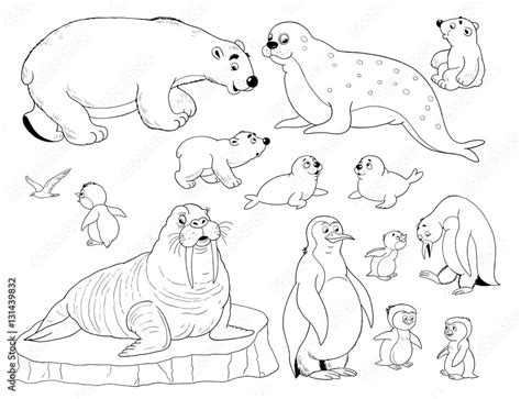 Arctic Coloring Pages