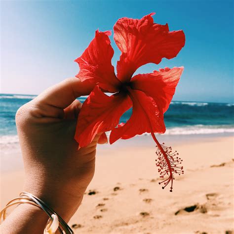 Five ways to show you've accepted Hawaiian culture - Living in Hawaii