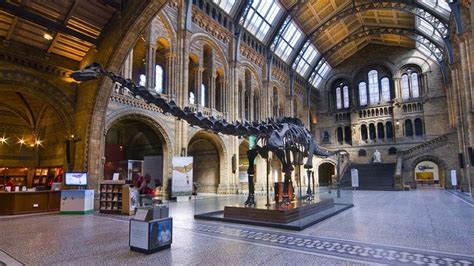 Dippy the dinosaur returns to London's Natural History Museum - BBC News