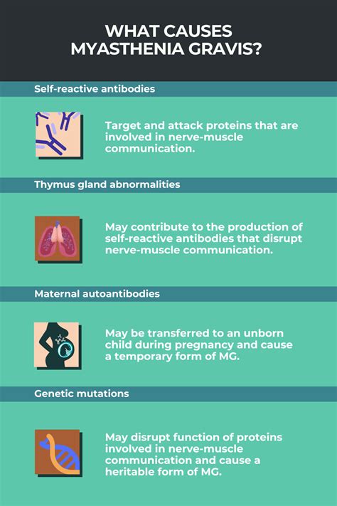 Myasthenia gravis causes | Myasthenia Gravis News