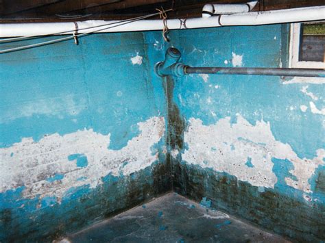 The Case Against Waterproof Paints & Wall Coatings | Why Waterproof ...