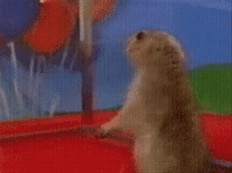 Dramatic Beaver GIFs | Tenor