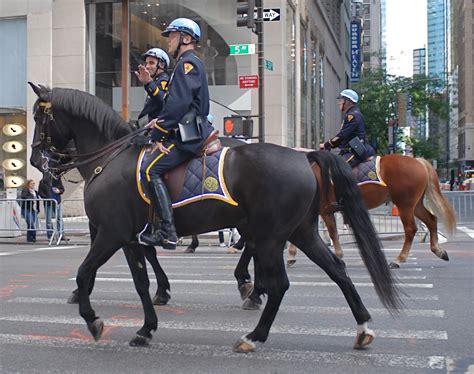 NYC ♥ NYC: New York Police Department's 10-Foot Cops (NYPD Mounted Unit ...