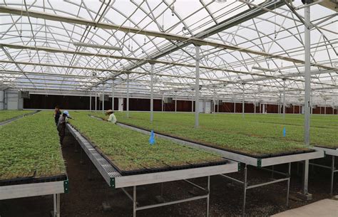 Commercial Greenhouse Benches, Rolling Benches and Automated Mobile ...