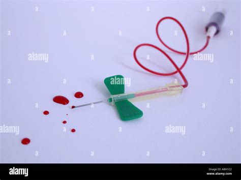 butterfly needle and syringe and tube containing human blood Stock ...