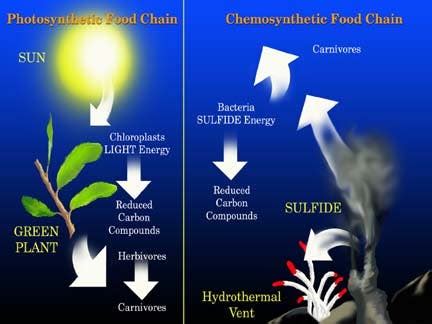 chemosynthesis