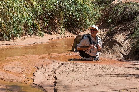 How To Get Out Of Quicksand - WorldAtlas