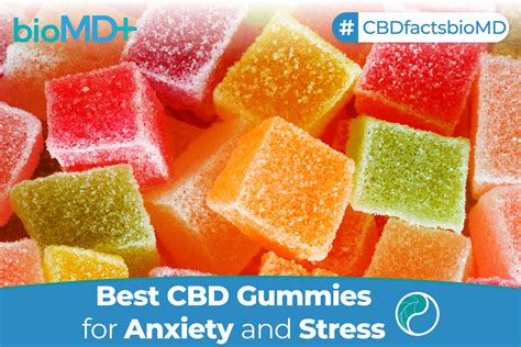 Best CBD Gummies for Anxiety & Stress LIMITED-TIME OFFERS