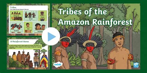 Rainforest Tribes Facts – People in the Amazon Rainforest