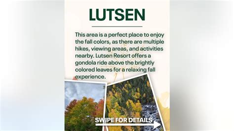 Fall colors in Minnesota: Where to see the best fall foliage | FOX 9 ...