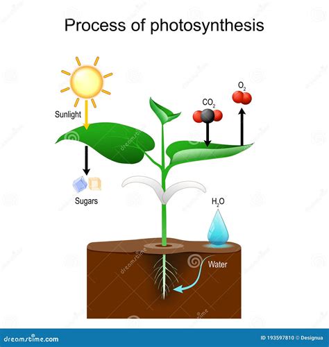 Photosynthesis Process Landing Page Template. Tiny Characters ...